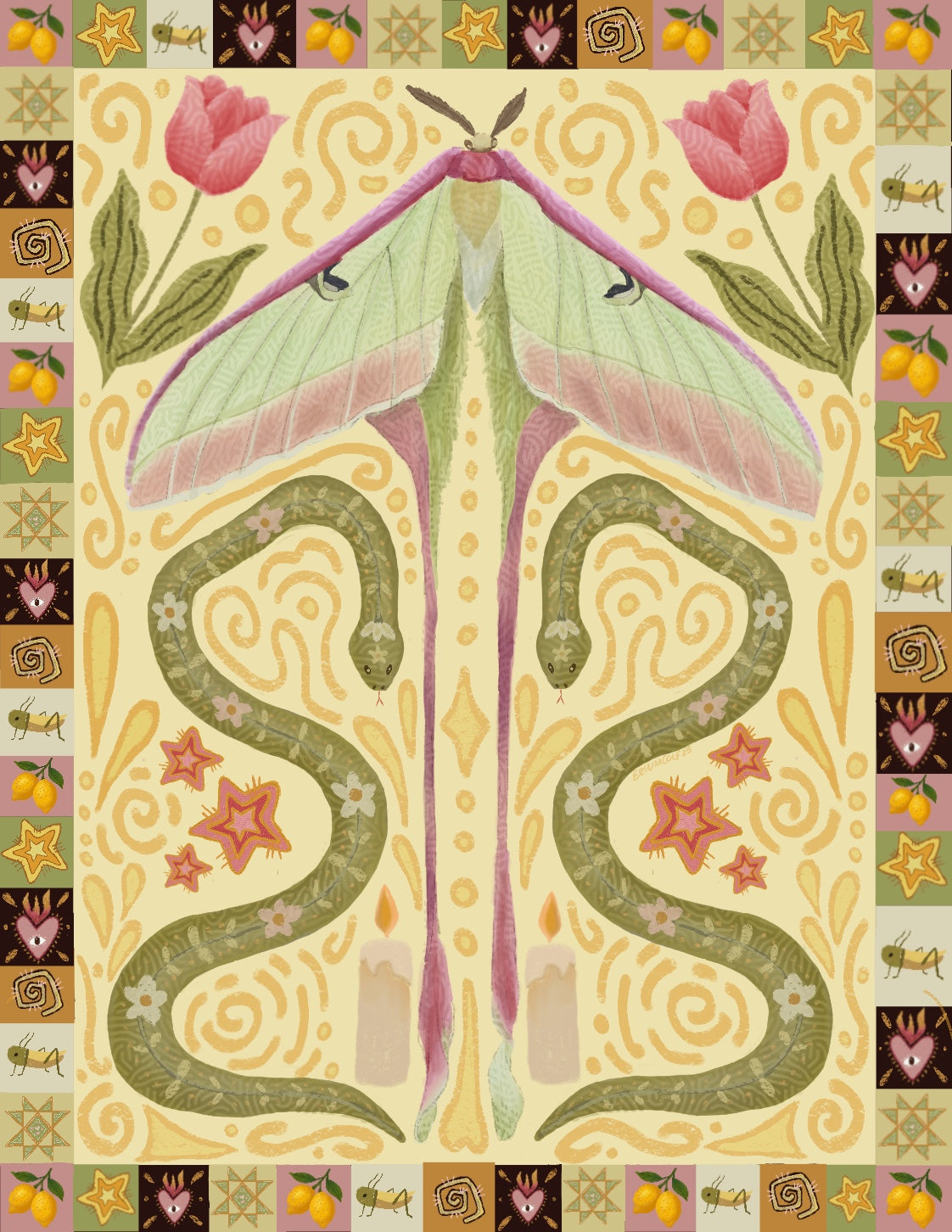 The Western Moth