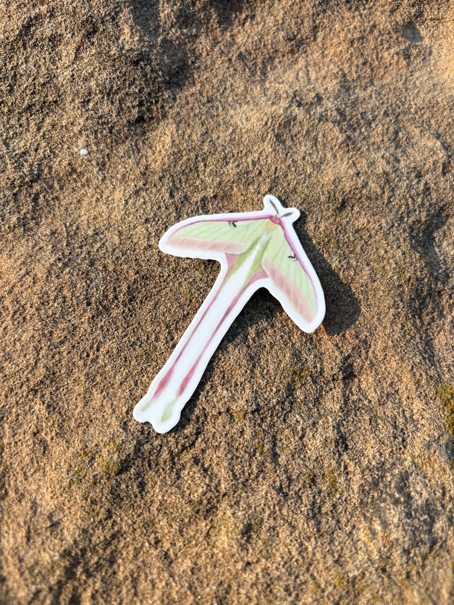 Green and Pink Moth 3 Inch Sticker