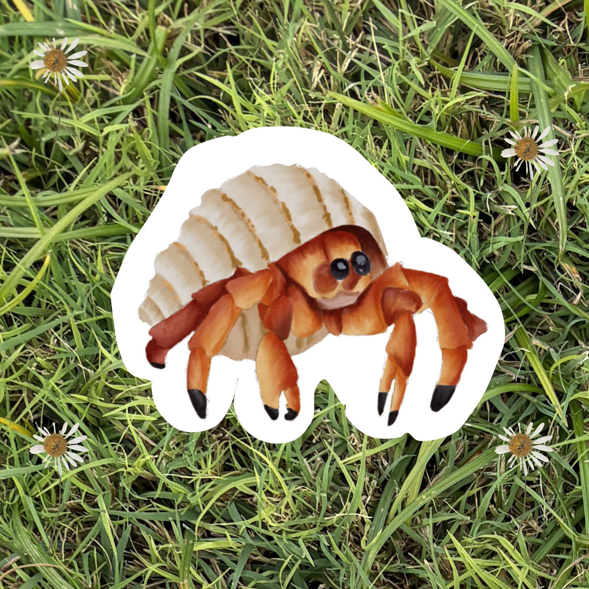 3" Folk Hermit Crab Vinyl Sticker