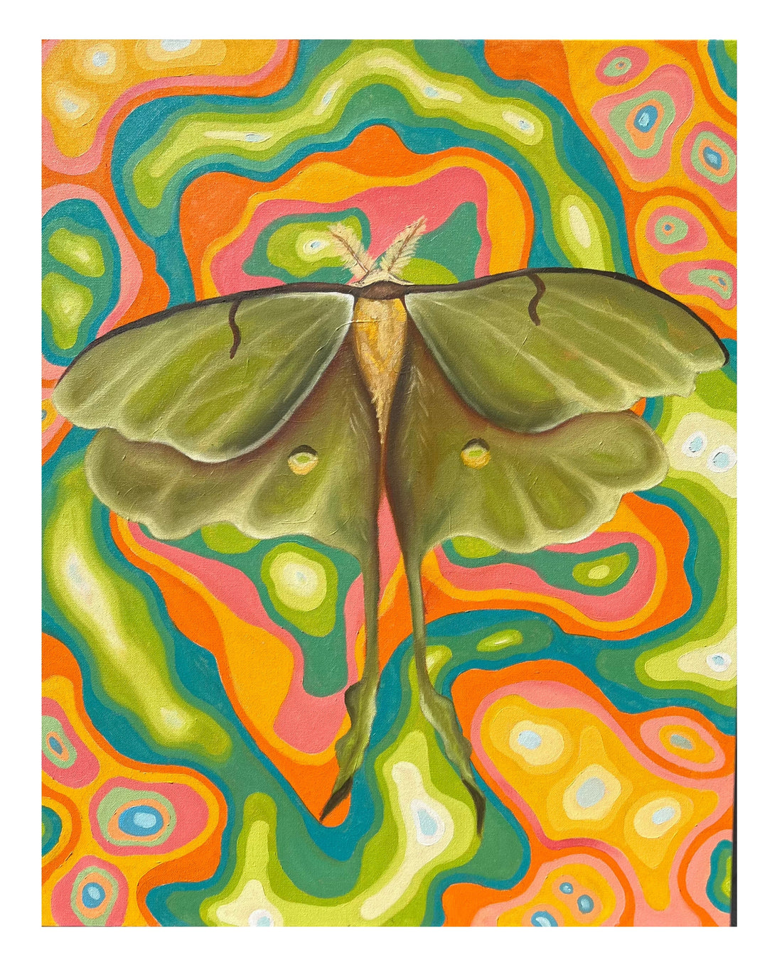 Lunar Moth