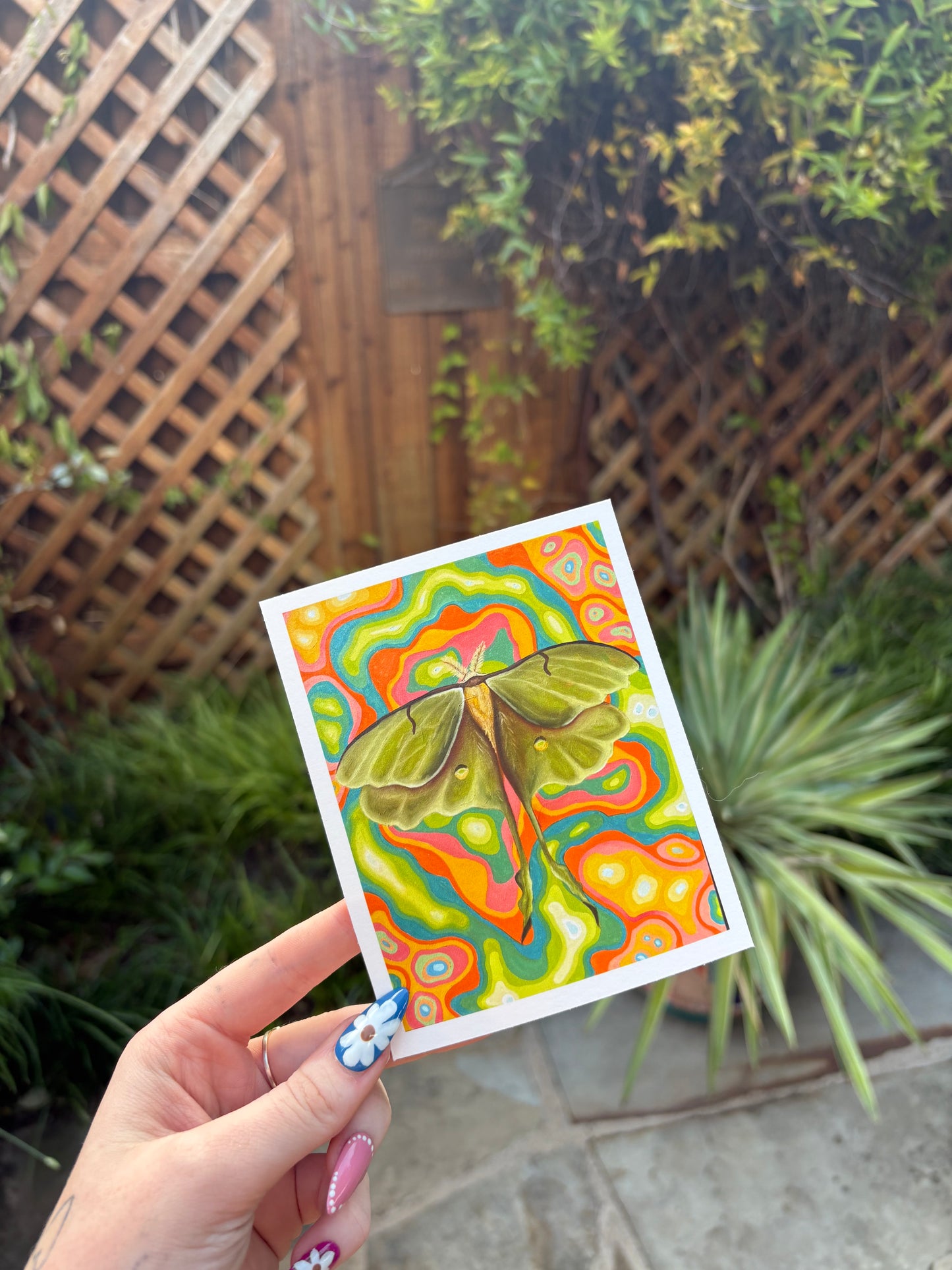 Abstract Psychedelic Lunar Moth Fine Art Print