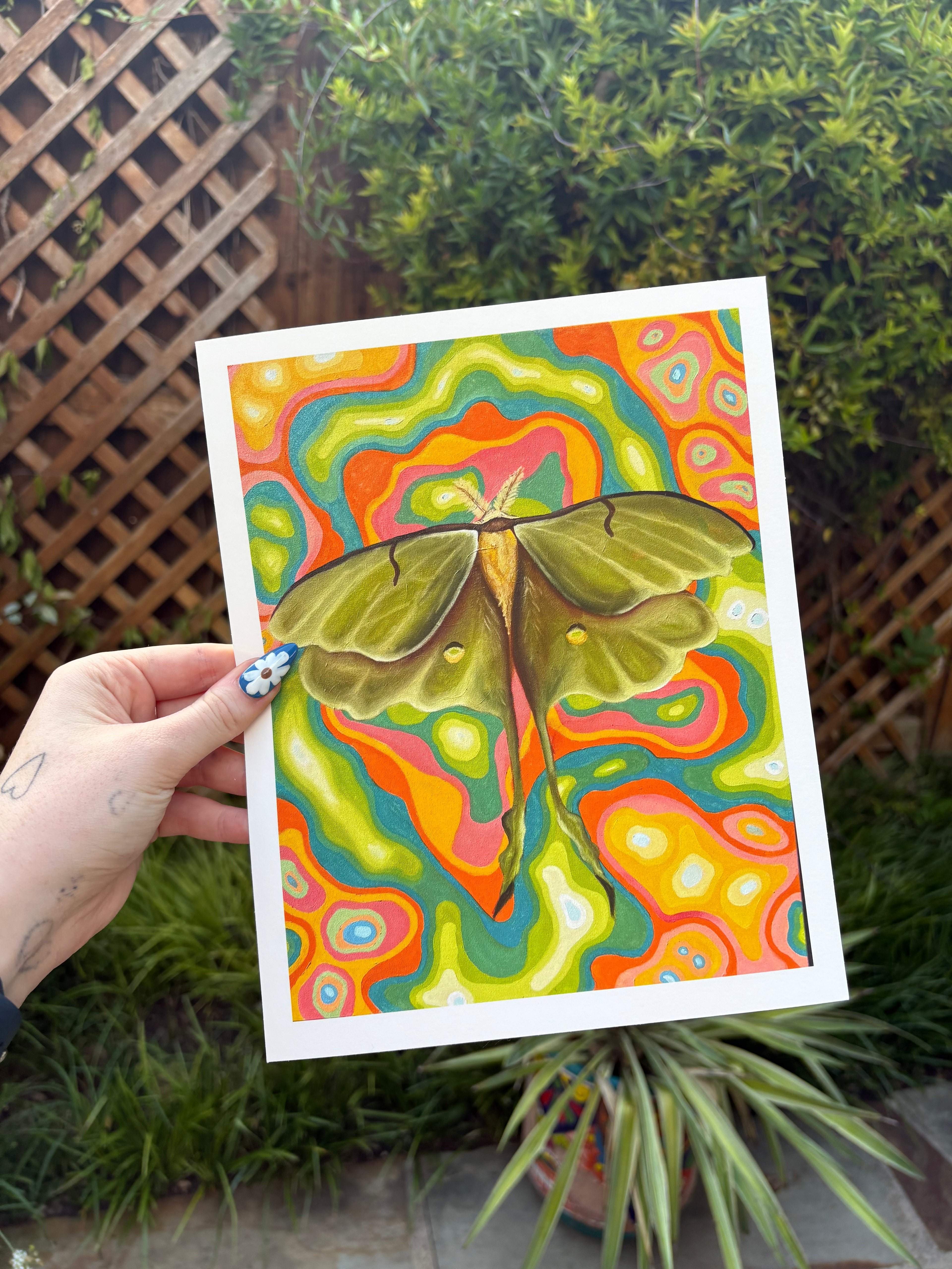 Abstract Psychedelic Lunar Moth Fine Art Print