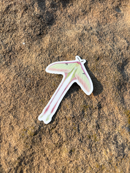 Green and Pink Moth 3 Inch Sticker