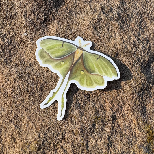 Lunar Moth 3 Inch Sticker
