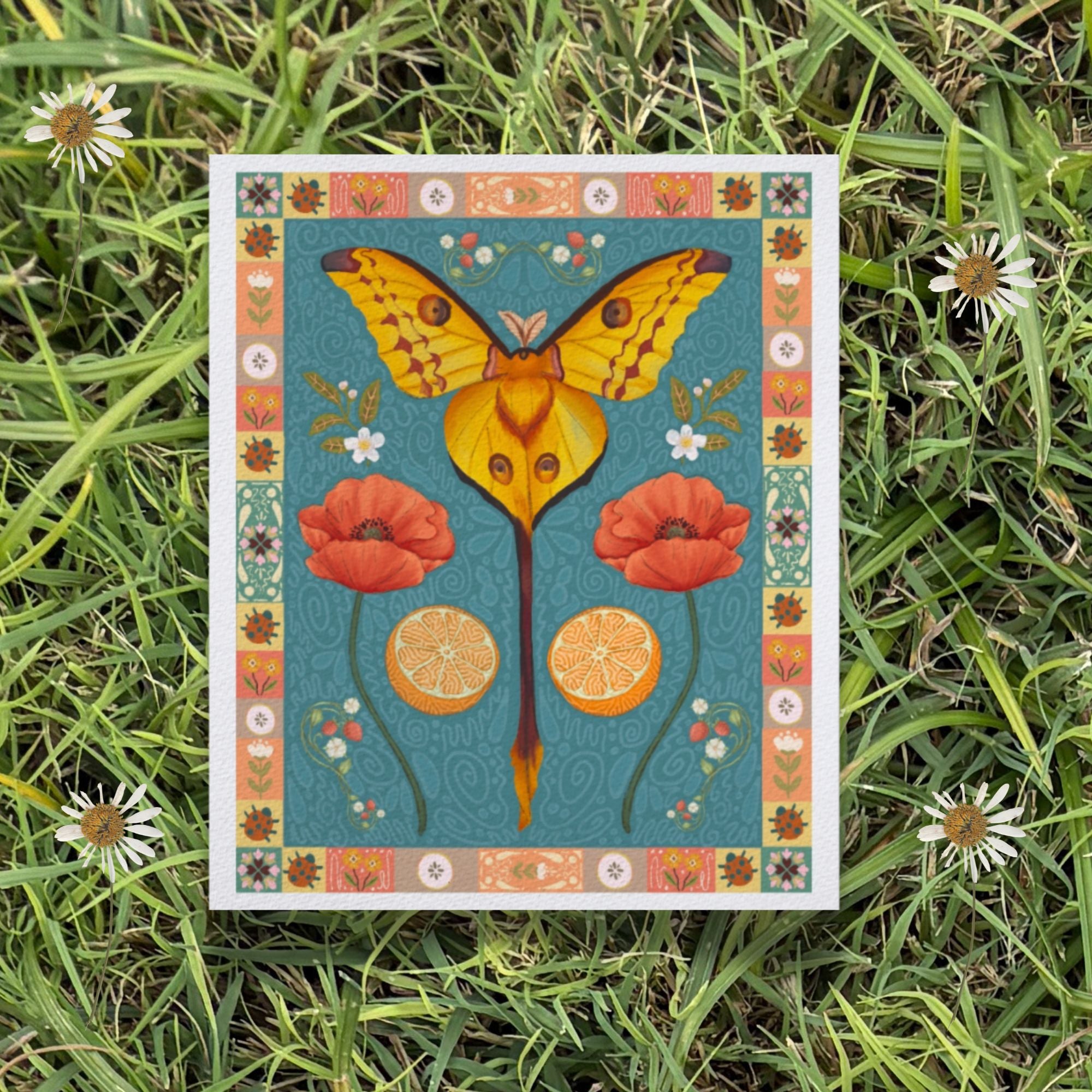 Folk Art Comet Moth Fine Art Print