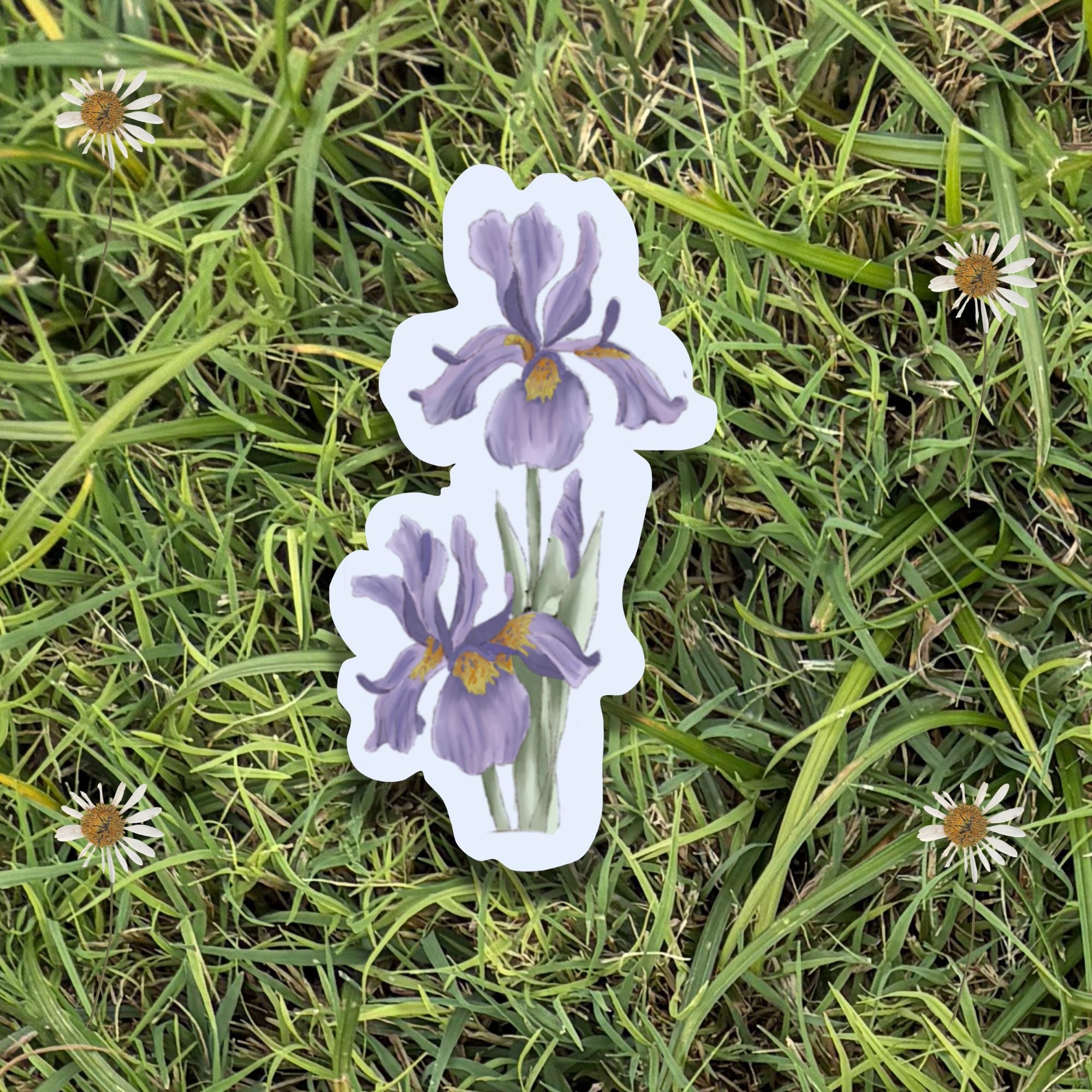 3" Purple Iris Vinyl Sticker