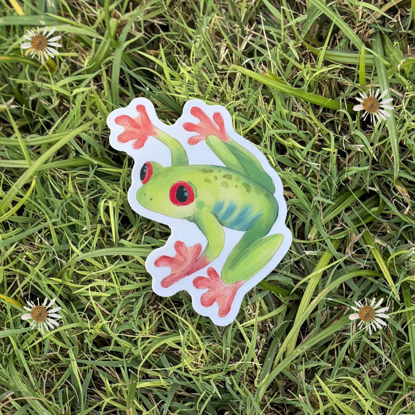 Tree Frog Vinyl Sticker