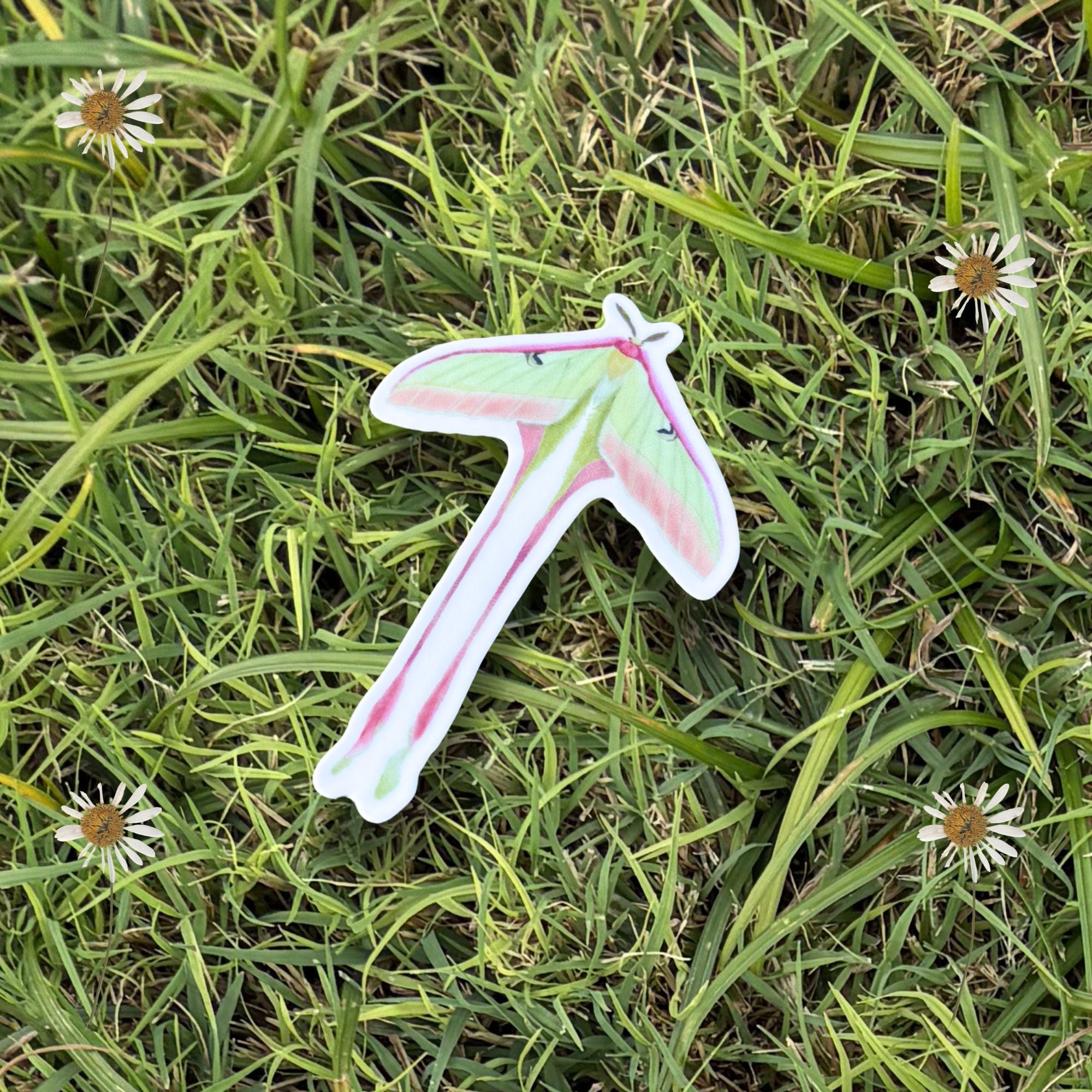 Green and Pink Moth 3 Inch Sticker
