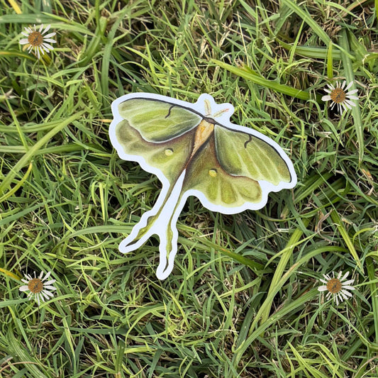 Lunar Moth 3 Inch Sticker