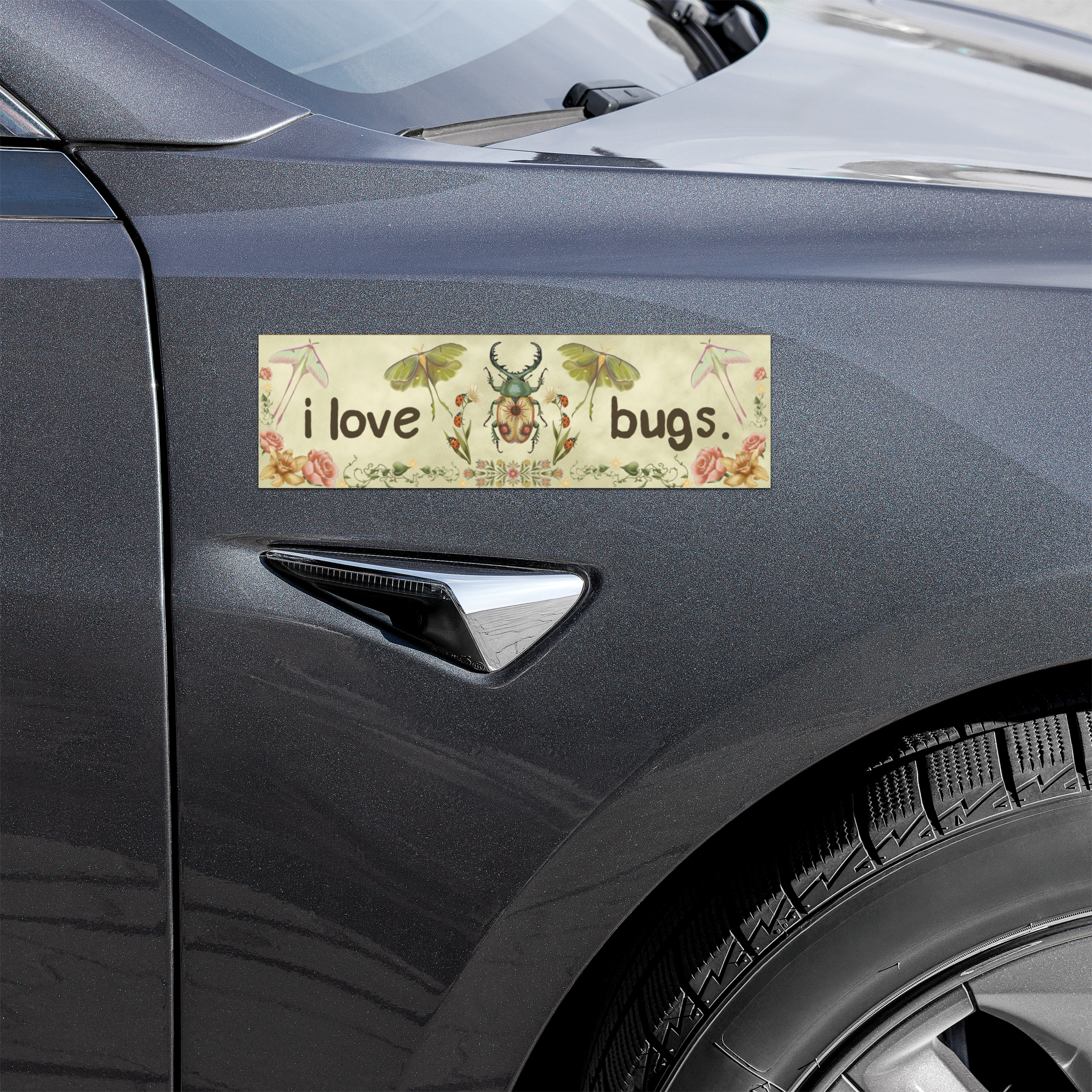 i love bugs 10x3 Inch Car Magnet