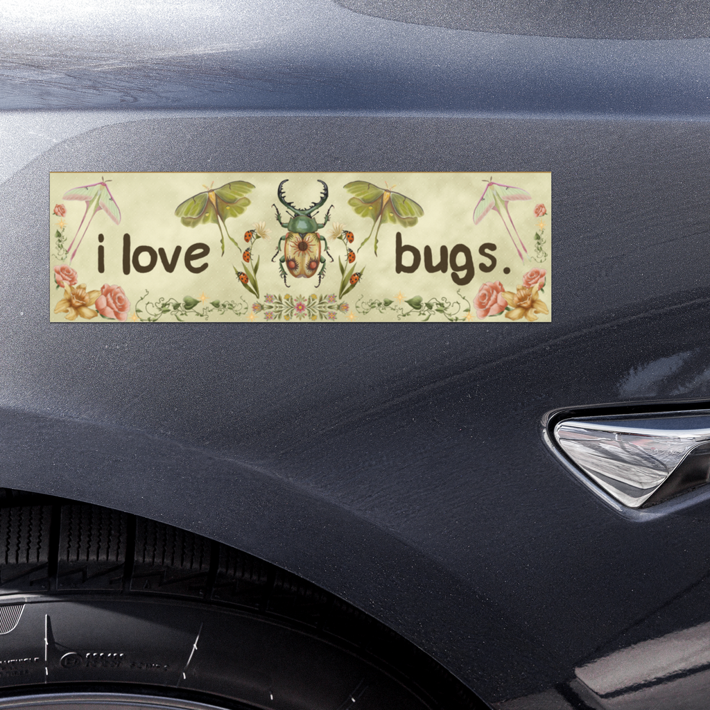 i love bugs 10x3 Inch Car Magnet