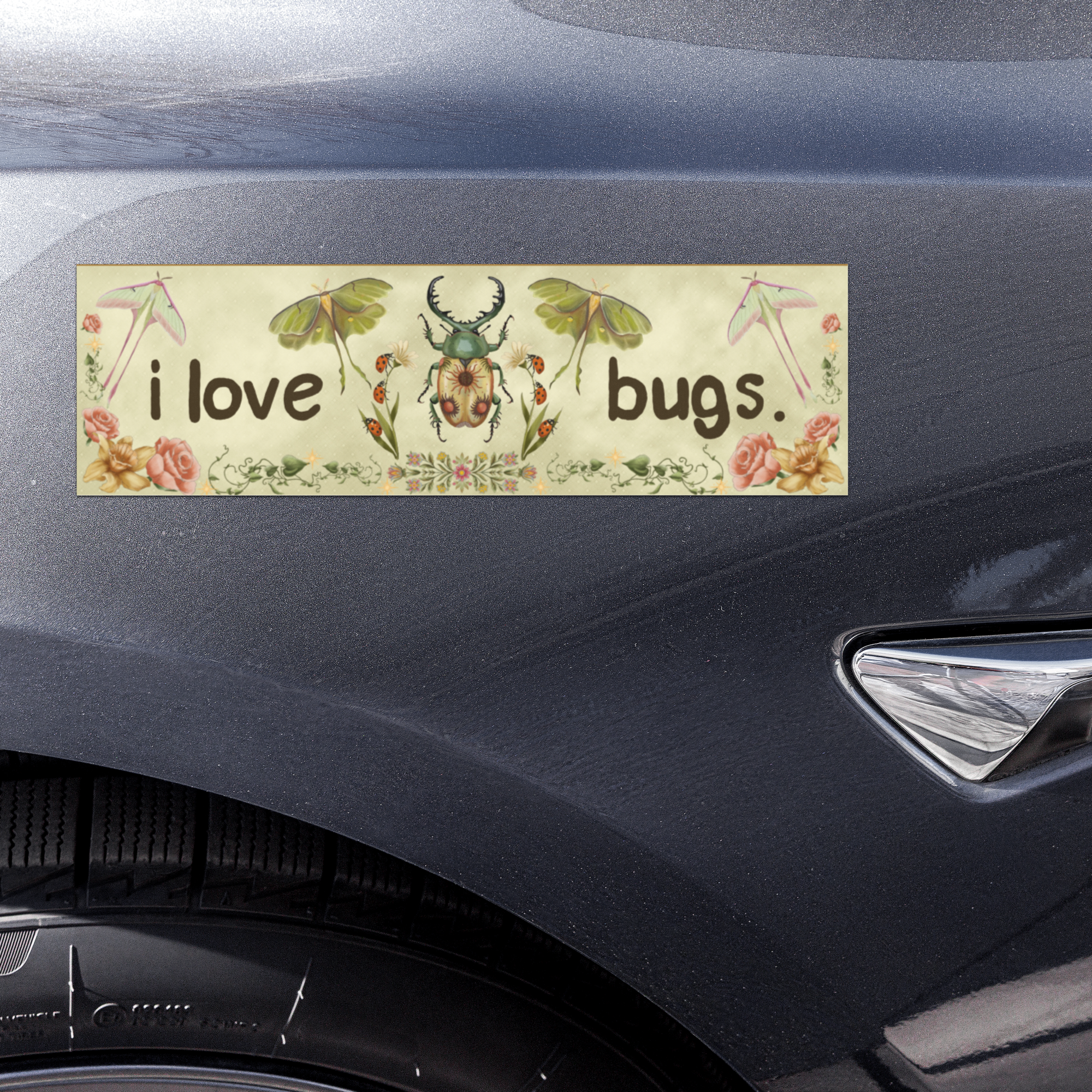 i love bugs 10x3 Inch Car Magnet