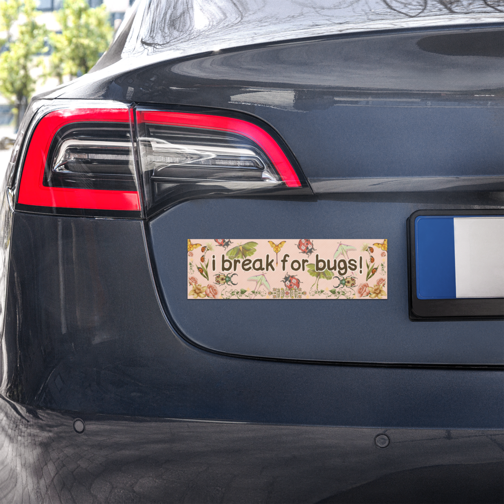 i break for bugs! 10x3 Inch Car Magnet