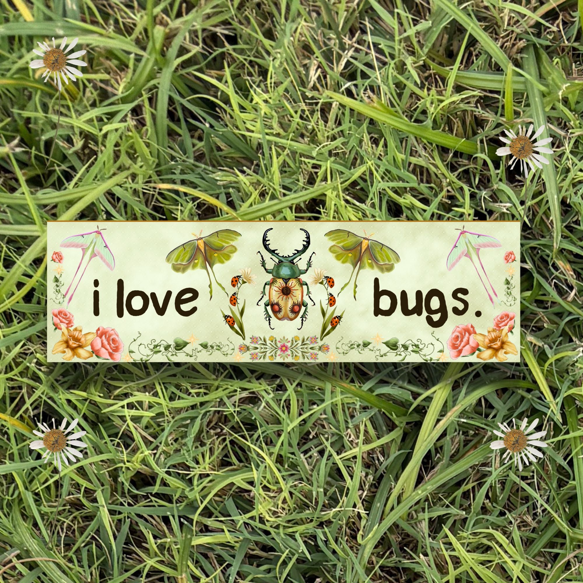 i love bugs 10x3 Inch Car Magnet
