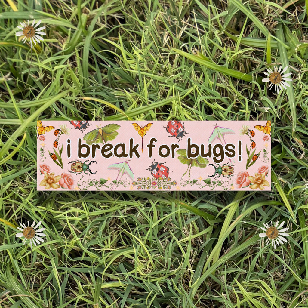 i break for bugs! 10x3 Inch Car Magnet
