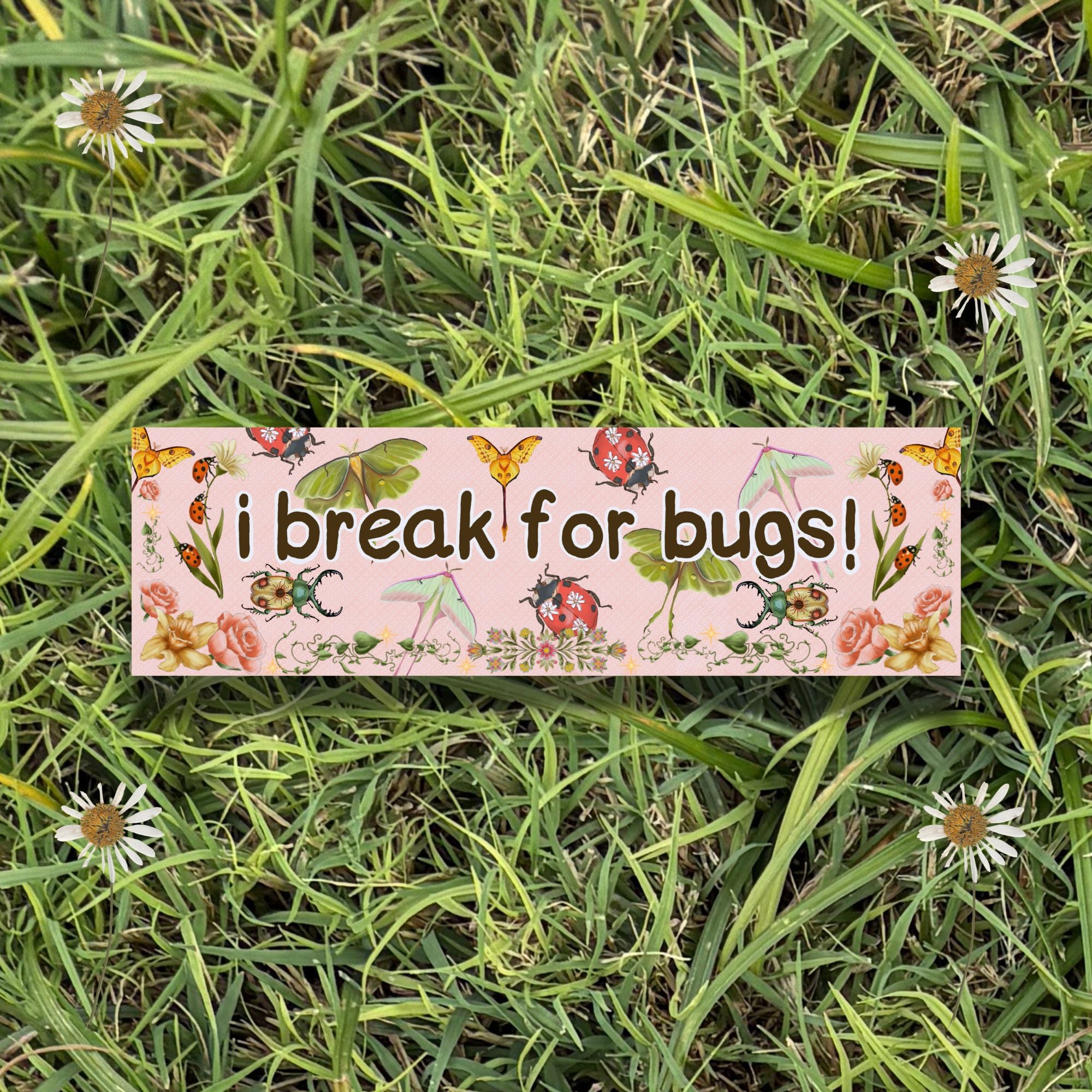 i break for bugs! 10x3 Inch Car Magnet