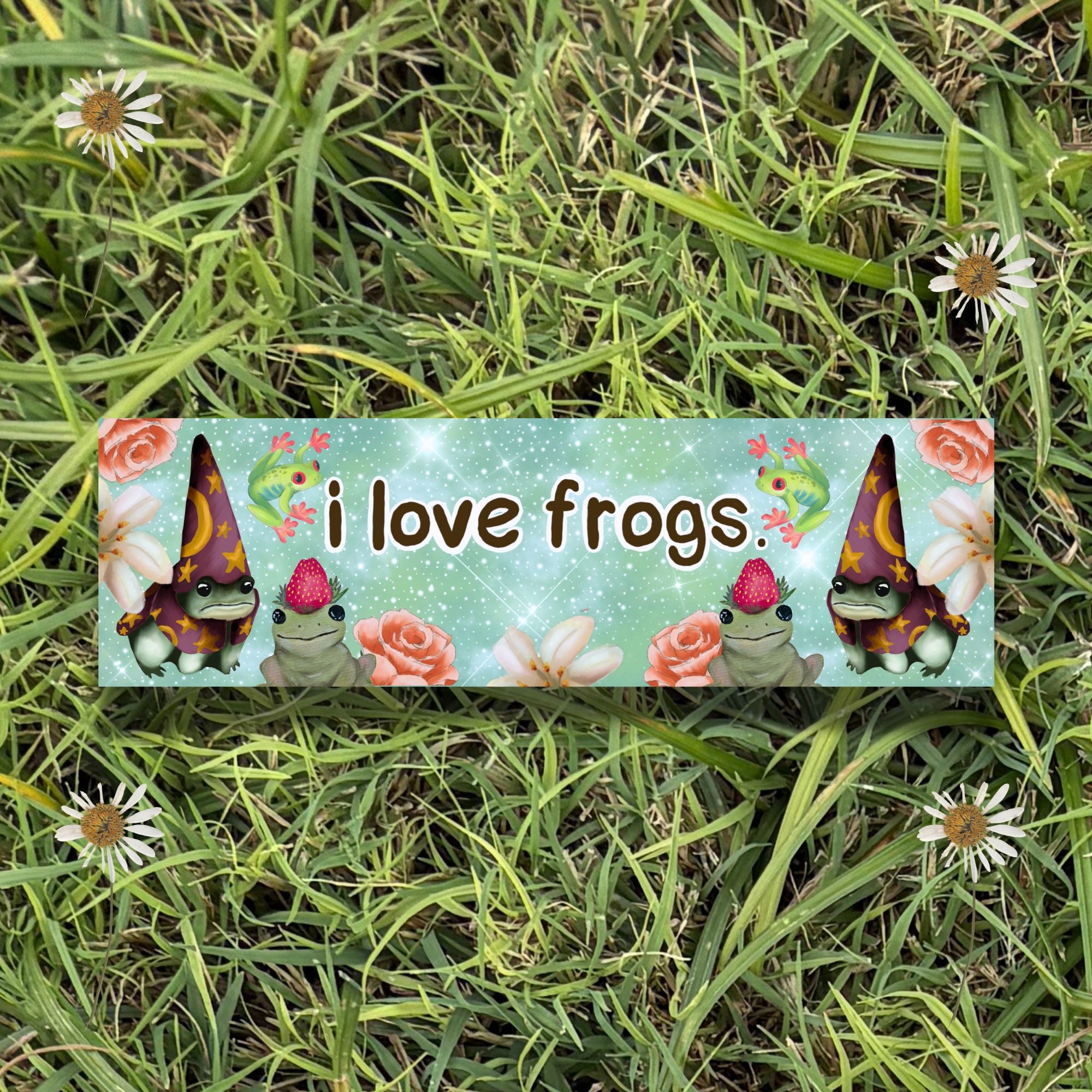 i love frogs! 10x3 Inch Car Magnet